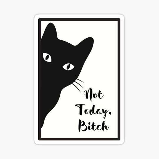 Discover Not Today, Bitch
