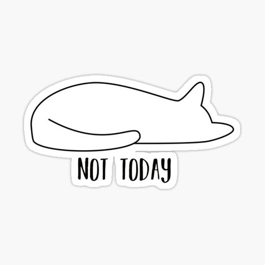 Discover Not Today Sleeping Cat