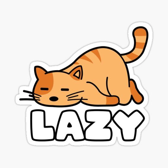 Discover Lazy cat