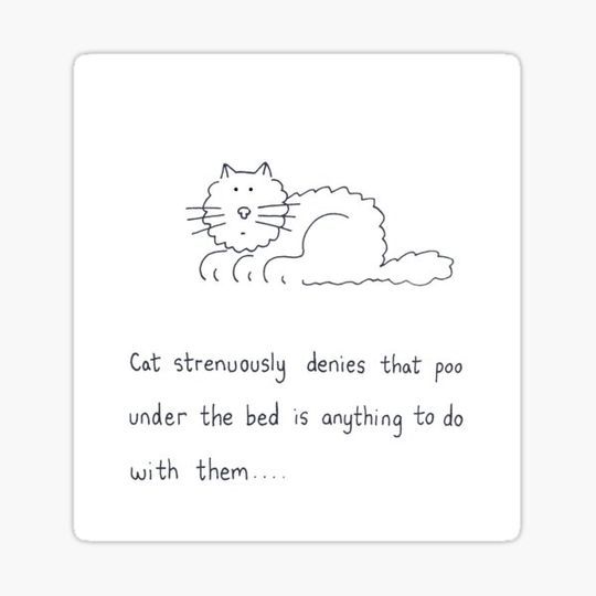 Discover Poo Under the Bed Cat Humor Cartoon