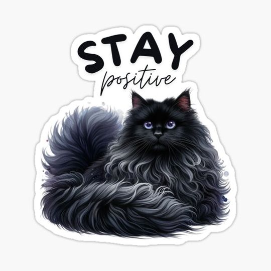 Discover Stay positive black cat meditating