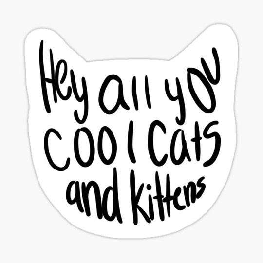 Discover Cool cats and kittens
