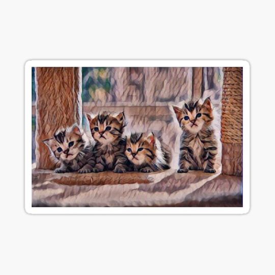 Discover Kittens