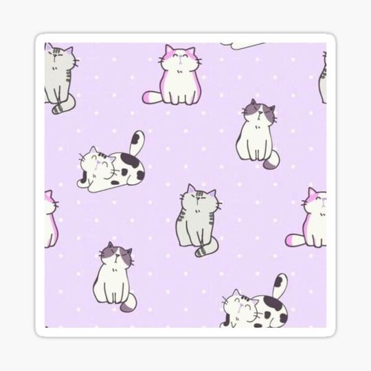 Discover Kittens
