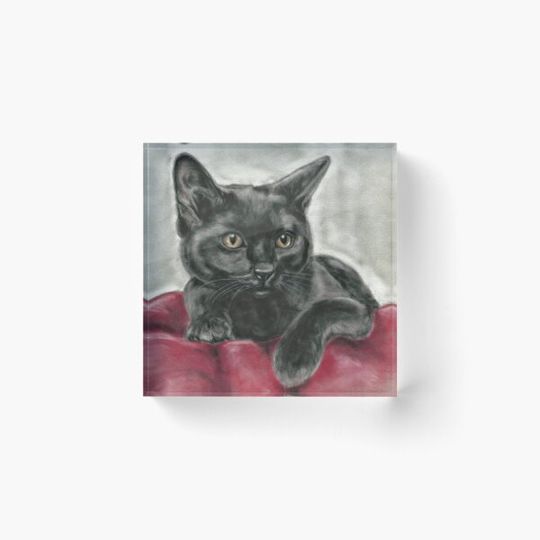 Discover Midnight the Black Cat art