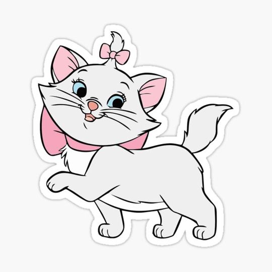 Discover Classy Cat