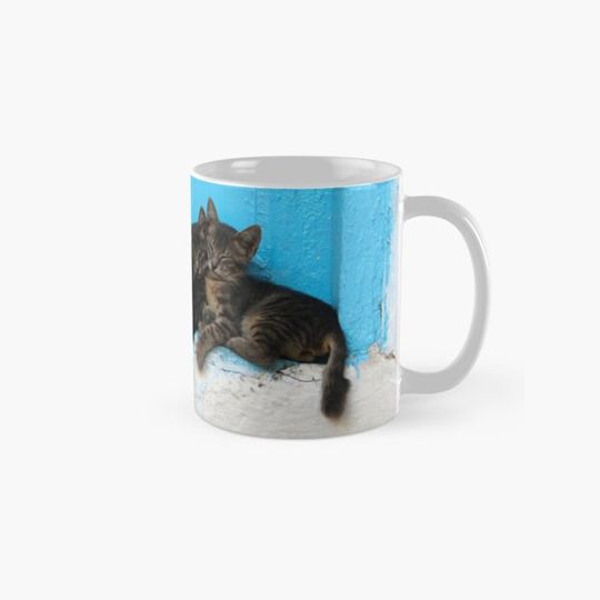 Discover Cuddling Kittens