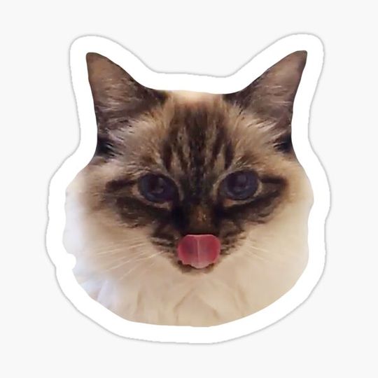Discover mlem - primcess pamcake