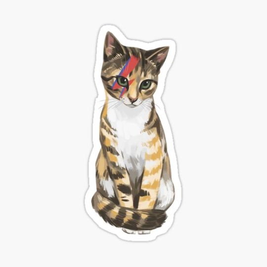 Discover Cute Ziggy Stardust Cat