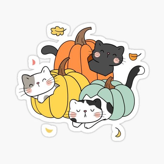 Discover Kittens inside pumpkins