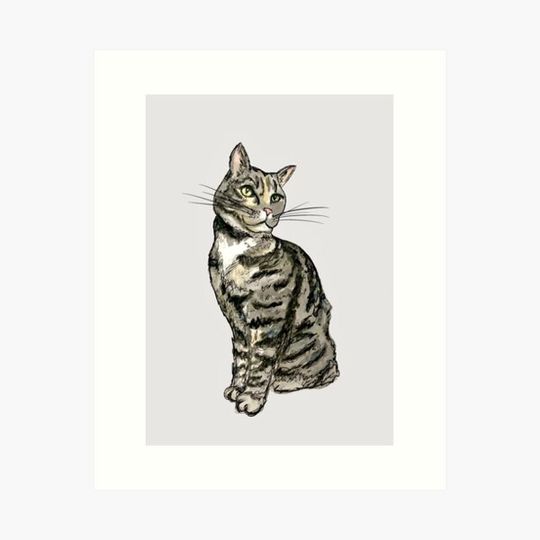 Discover Tabby cat