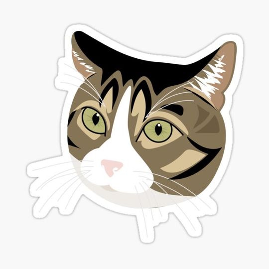 Discover Brown Tabby Cat