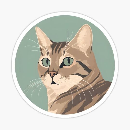 Discover Tabby Cat