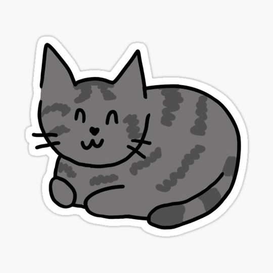 Discover Grey tabby cat