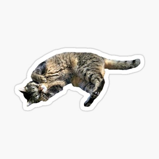 Discover Sunny Snooze