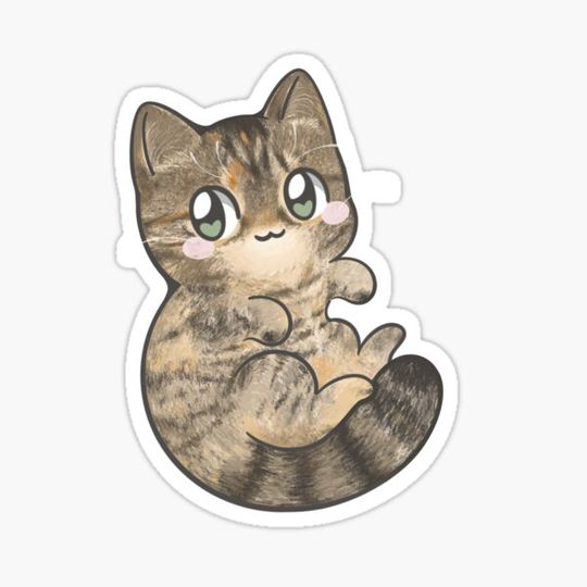 Discover Brown Tabby Cat