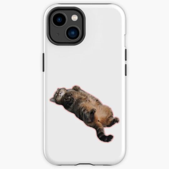 Discover Cat snooze