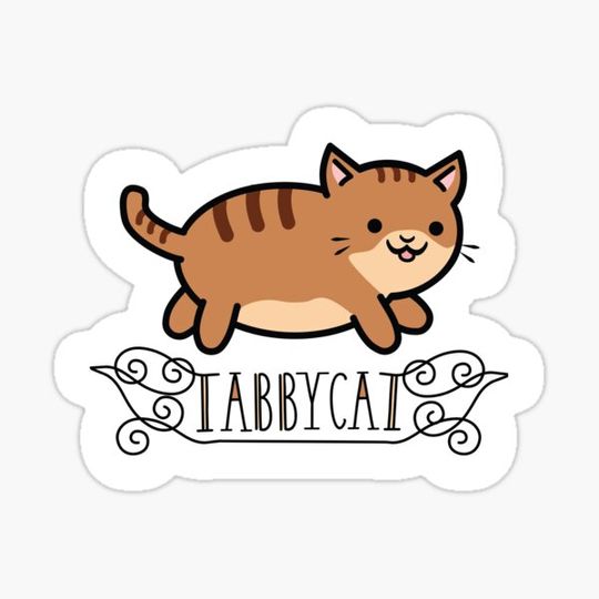 Discover Tabby Cat