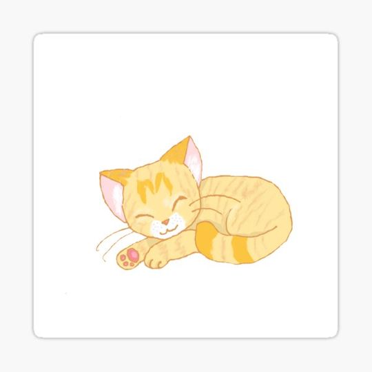 Discover Sleepy Cream Tabby