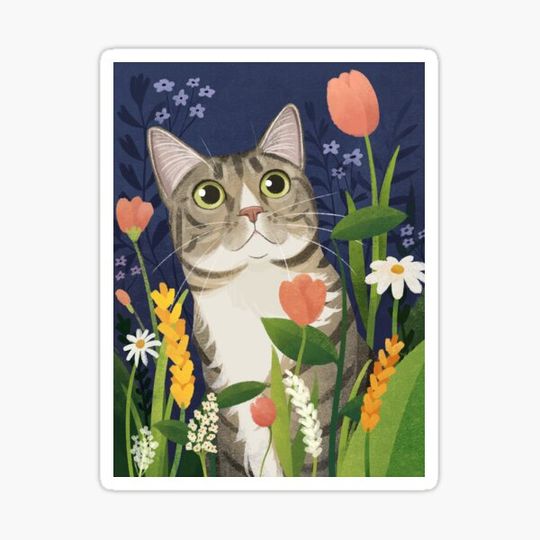 Discover wondering kitty in nature at night