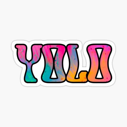 Discover YOLO