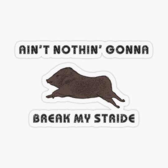 Discover Nothin Gonna Break My Stride  Running Javelina