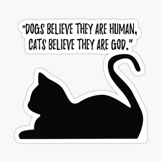 Discover Dogs believe they are human, cats believe they are God