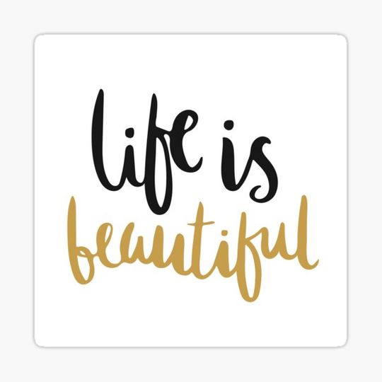 Discover Life is beautiful
