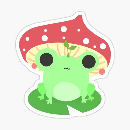 Discover The mushroom frog