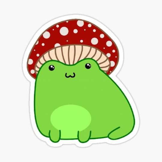Discover mushroom frog