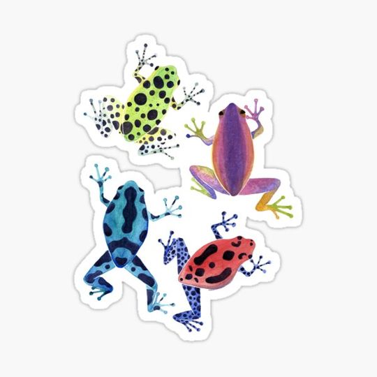 Discover Rainbow Dart Frogs