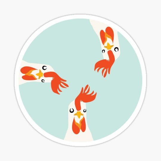 Discover Rooster Watching