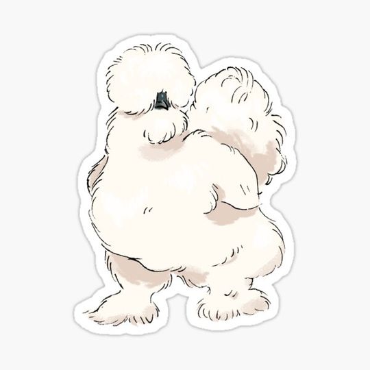 Discover Silkie Chicken