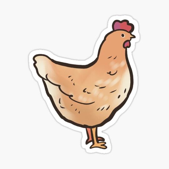 Discover Chicken