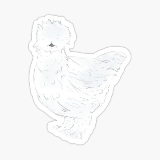 Discover White Silkie