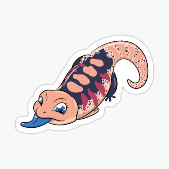 Discover Blue Tongue Skink