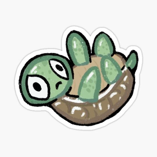 Discover Sea Turtle Sea Creature