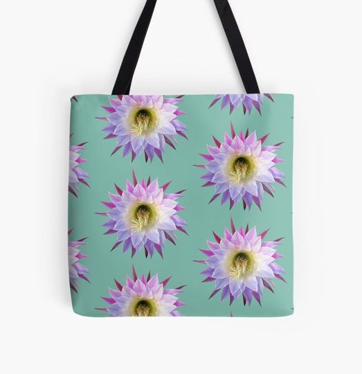 Discover Cactus Flower on teal