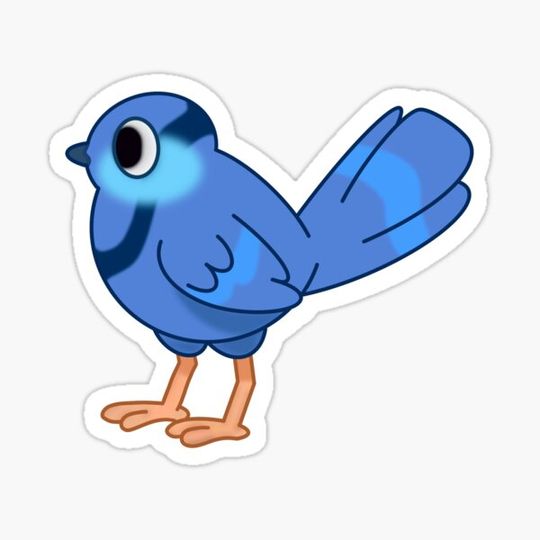Discover Bird