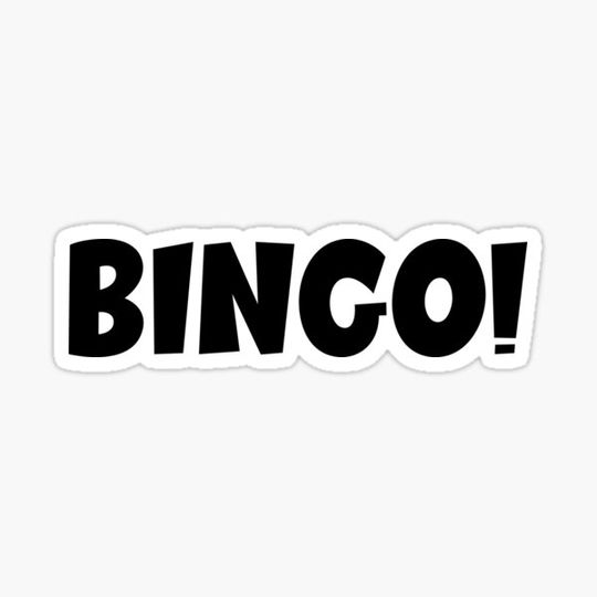 Discover Bingo!