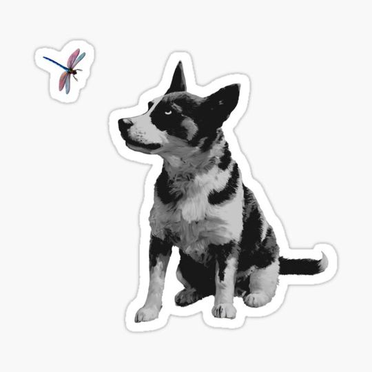 Discover Dog and Dragonfly