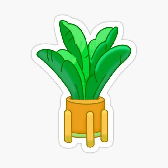 Discover Plant