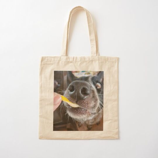 Discover Gimme cheese