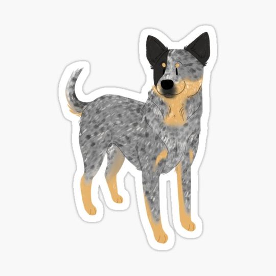 Discover Right Mask Blue Heeler