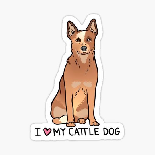 Discover Australian Cattle Dog - Red Heeler