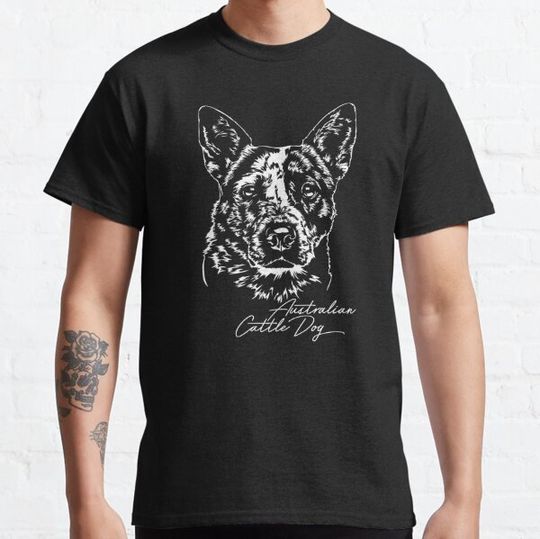 Discover Australian Cattle Dog dog dogs portrait