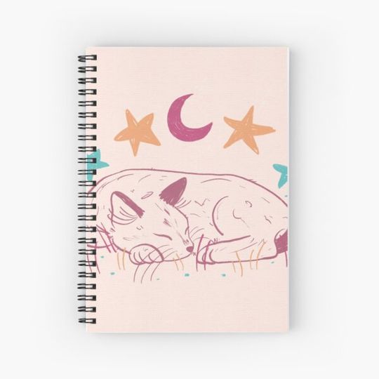 Discover Sleepy Kitty