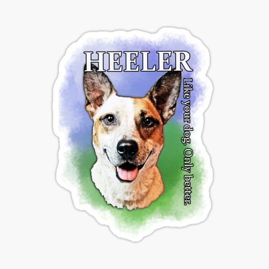 Discover Heeler: Like Your Dog. Only Better.