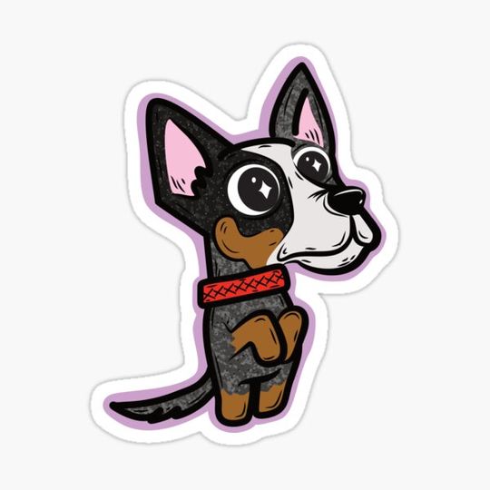 Discover Australian cattle dog
