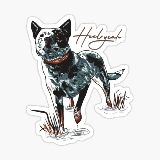 Discover Heel Yeah - Blue Heeler